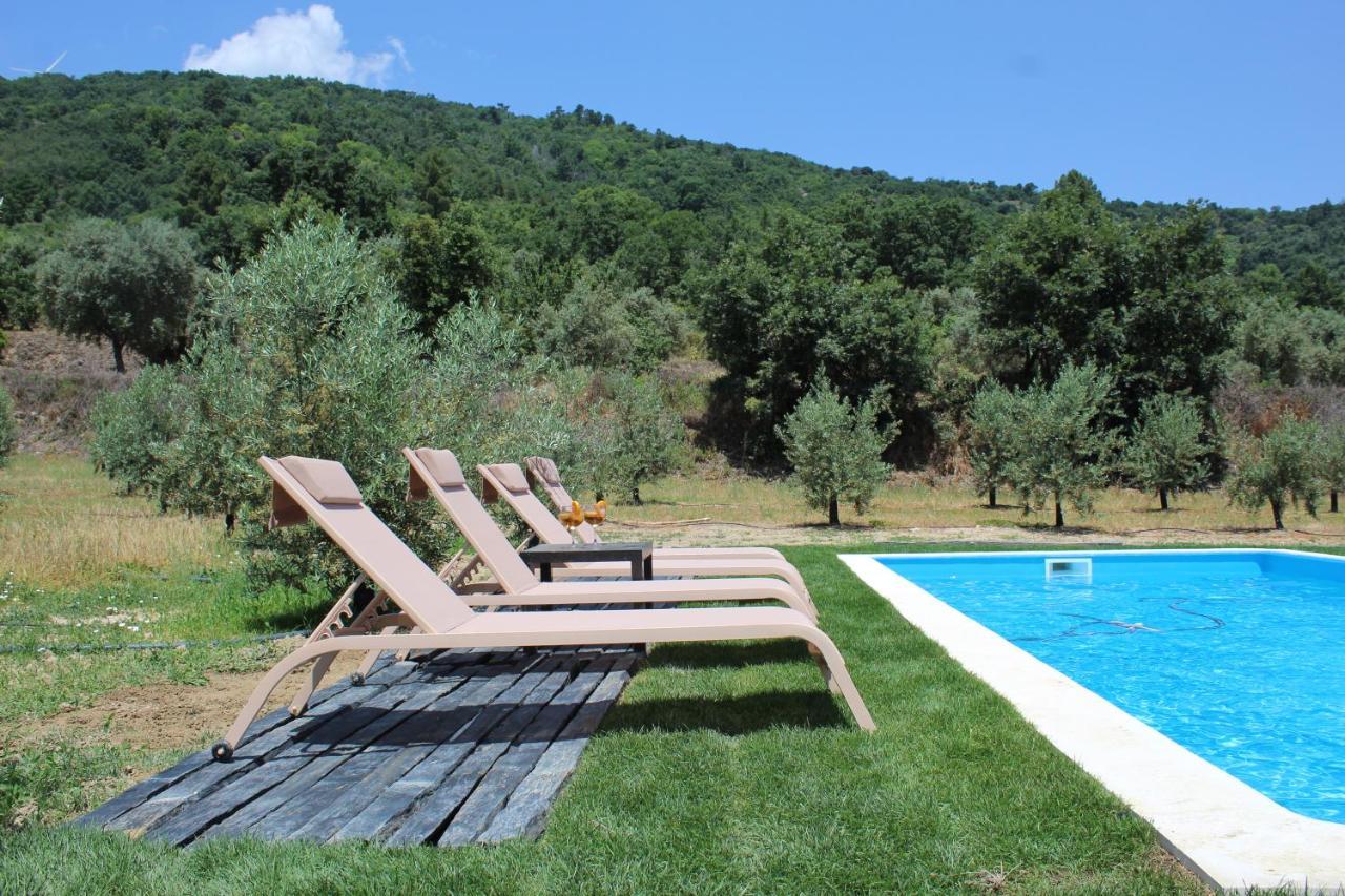 Casa Das Saras Villa Goncalo  Buitenkant foto